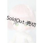 画像: TinyFox/1/6 フルセット A-25-02-26-1029-KD-ZU