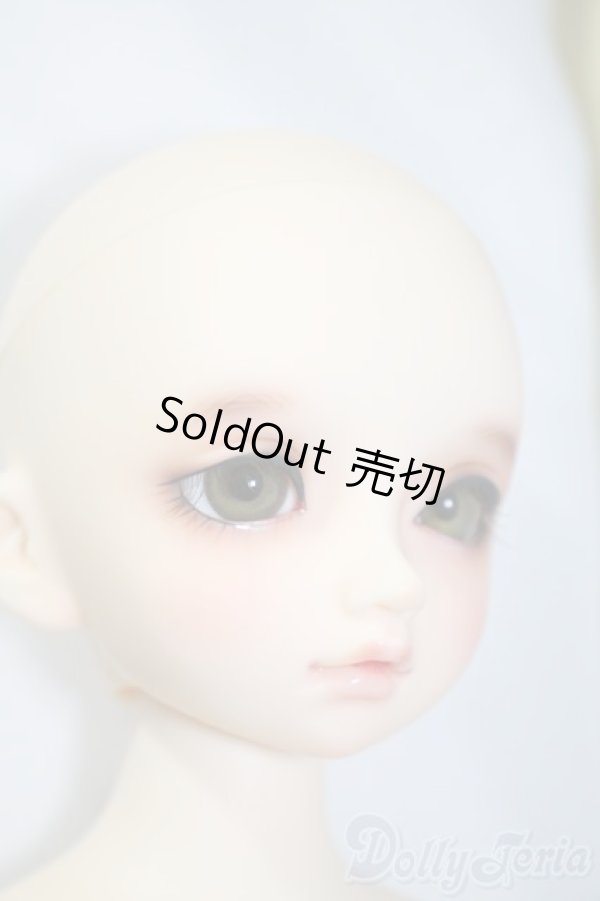 画像3: SDM/のあ:スタンダードモデル Y-25-02-25-219-TN-ZY (3)