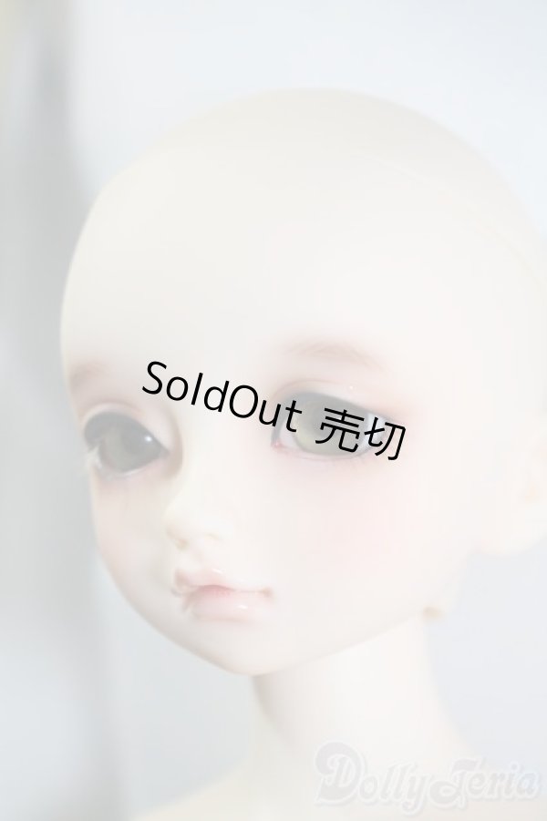 画像4: SDM/のあ:スタンダードモデル Y-25-02-25-219-TN-ZY (4)