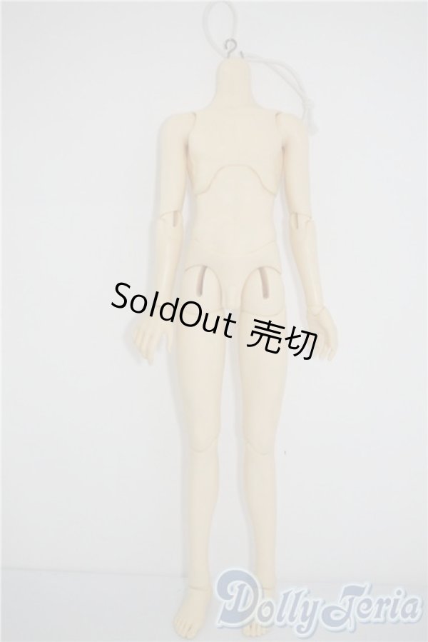 画像1: SD17BOY/ボディ U-25-03-04-205-TN-ZU (1)