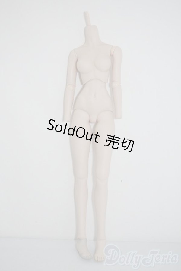 画像1: DDS/ベースボディIII A-25-02-26-1082-TN-ZU (1)