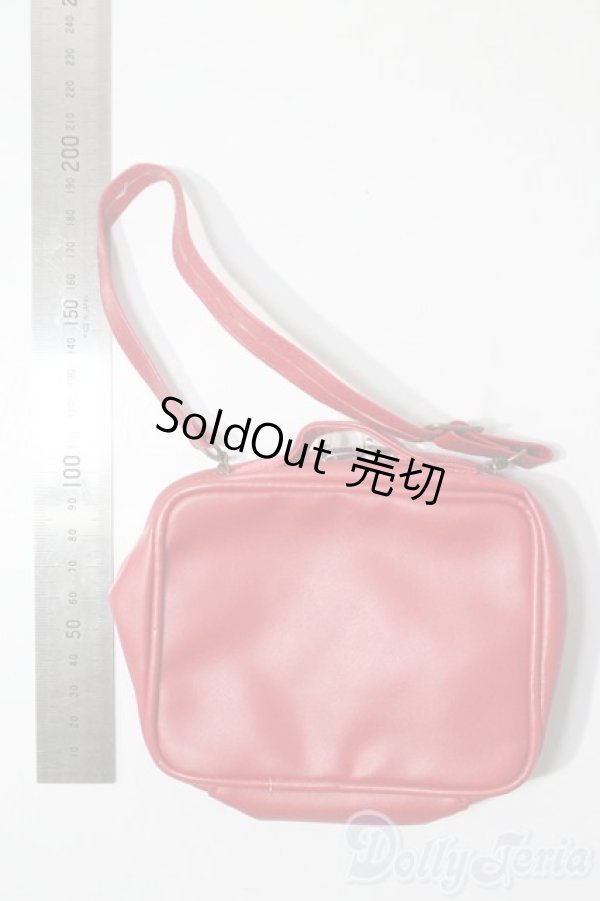 画像2: SD/OF:小物 U-25-02-25-082-TN-ZU (2)