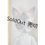 画像: PIPOS/A.Derek Limited Edition A-25-02-26-1051-TN-ZU