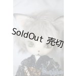 画像: dearmine/OZ-festival- A-25-02-26-1053-TN-ZU