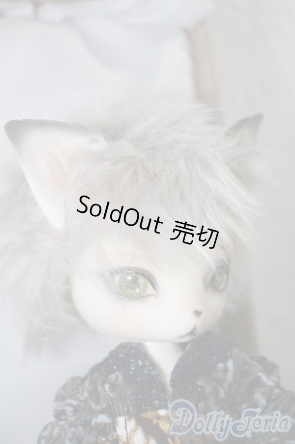 画像2: dearmine/OZ-festival- A-25-02-26-1053-TN-ZU (2)