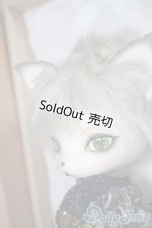 画像3: dearmine/OZ-festival- A-25-02-26-1053-TN-ZU (3)