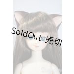 画像: MSD/ナーシャ U-25-02-25-211-TN-ZU