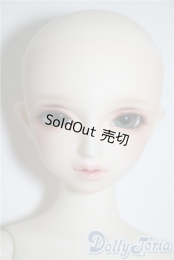 画像5: SDM/F-35：コーディネートモデル U-25-03-04-210-TN-ZU (5)