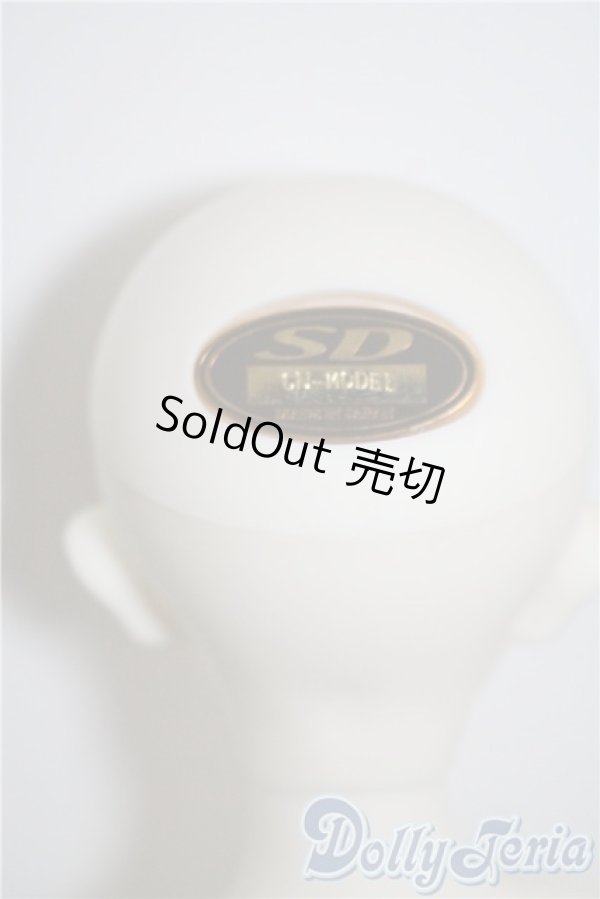 画像8: SDM/F-35：コーディネートモデル U-25-03-04-210-TN-ZU (8)