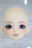 画像1: SDM男の子/コーディネートモデル白鳥 U-25-03-11-206-TN-ZU (1)