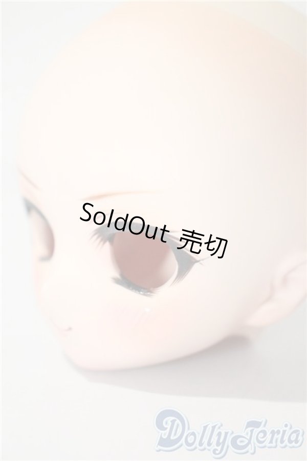 画像3: DDH-01/カスタムヘッド 　ロンシュカ様製 A-25-03-12-1028-TN-ZU (3)