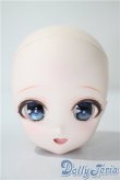 画像1: DD/DDH-27　カスタムヘッド A-25-05-21-1093-TN-ZU (1)