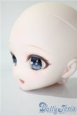 画像3: DD/DDH-27　カスタムヘッド A-25-05-21-1093-TN-ZU (3)