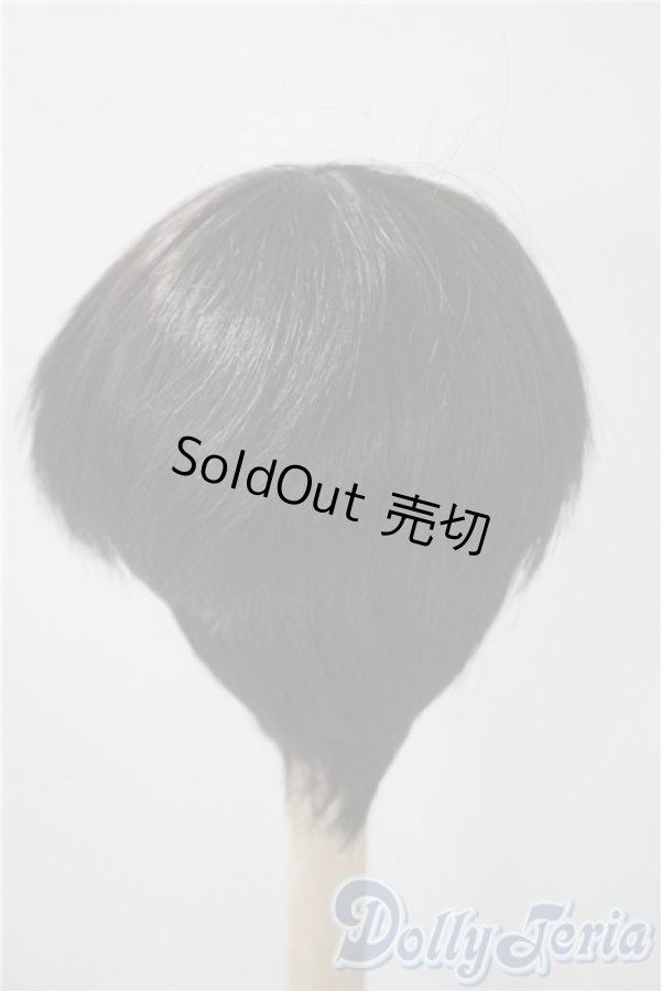 画像2: 9-10inch/ウィッグ U-25-04-01-142-TN-ZU (2)