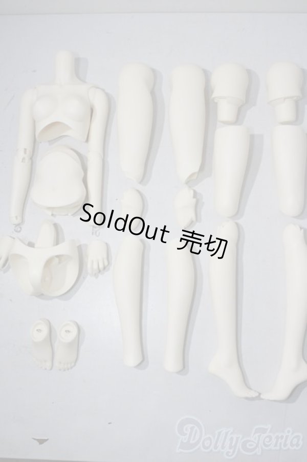 画像1: SDGr女の子/ボディ U-25-03-18-202-TN-ZU (1)