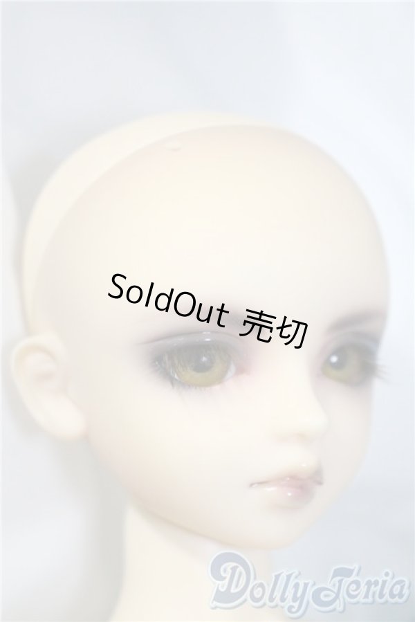 画像3: MSD/ヒューイ3rd. U-25-03-18-214-TN-ZU (3)