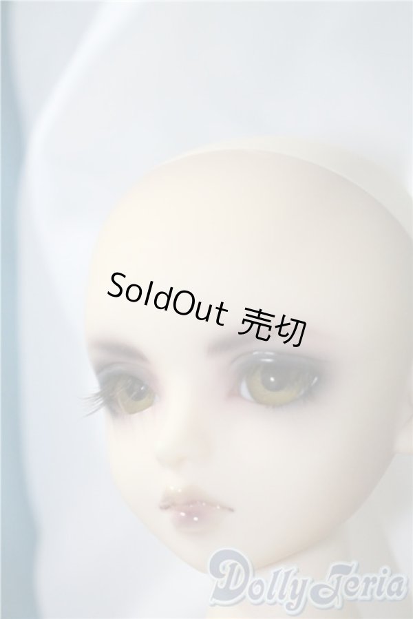 画像4: MSD/ヒューイ3rd. U-25-03-18-214-TN-ZU (4)