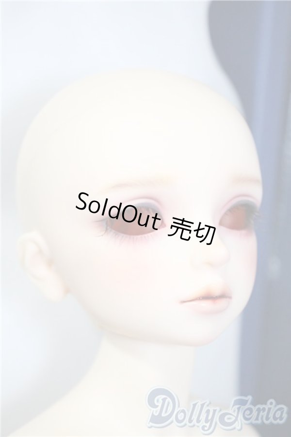 画像5: SDM/ギルバート 星間学寮ver. U-25-03-18-210-TN-ZU (5)