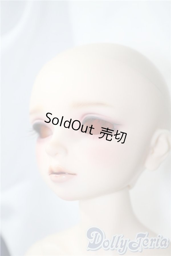 画像6: SDM/ギルバート 星間学寮ver. U-25-03-18-210-TN-ZU (6)