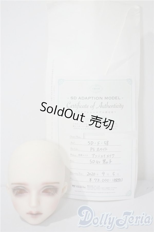 画像5: SDGrB/アダプションモデルF-58 U-25-03-25-215-TN-ZU (5)