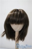 画像1: 8-9inch/ウィッグ U-25-03-25-027-TN-ZU (1)