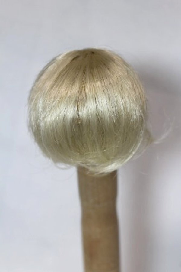 画像2: 5inch/ウィッグ/インチ　BJD　MJD　ドール用 A-26-10-28-1202-TN-ZA (2)