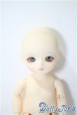 画像1: BLUEFAIRY/PF :ロア A-25-03-26-1095-TN-ZU (1)