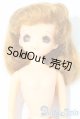 画像: リカちゃん/かんごふさんのひとみちゃん A-25-03-26-1045-TN-ZU