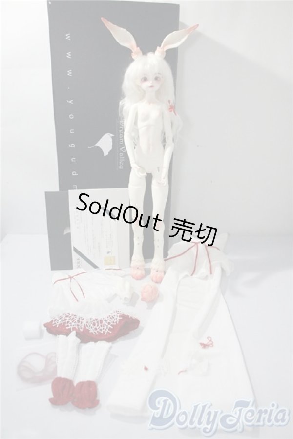 画像6: DREAMVALLEY/Olivia Human Ver. Fullset A-25-03-26-1093-TN-ZU (6)