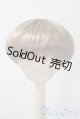 画像: 9-10inch/ウィッグ U-25-04-01-149-TN-ZU