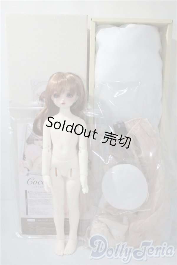 画像6: SDM女の子 /ここ coco 10周年記念Ver. U-25-03-25-219-TN-ZU (6)