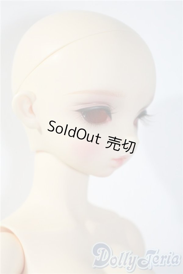 画像2: BAMBI　CRONY/[BZ]Eucaly Basic A-25-04-09-1048-TN-ZU (2)