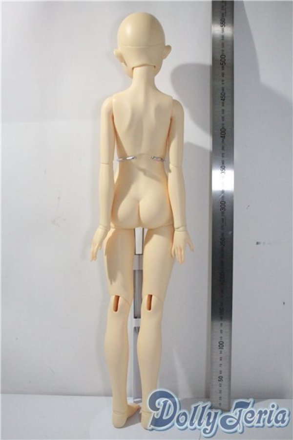 画像7: BAMBI　CRONY/[BZ]Eucaly Basic A-25-04-09-1048-TN-ZU (7)