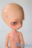 画像3: DOLLZONE/Mini Kitty A-25-04-02-1095-TN-ZA (3)