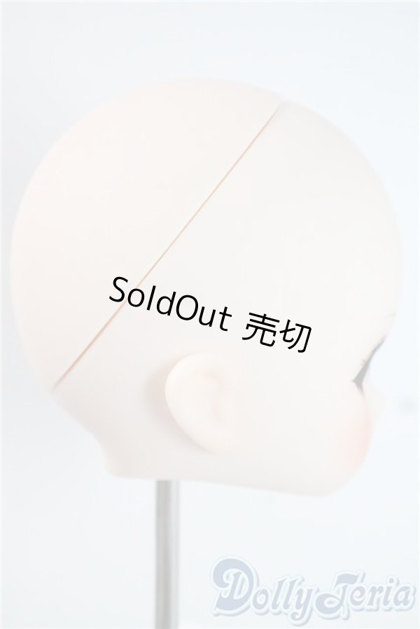 画像2: DD/DDH-01:カスタムヘッド A-25-09-03-1040-TN-ZU (2)