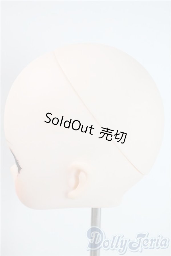 画像4: DD/DDH-01:カスタムヘッド A-25-09-03-1040-TN-ZU (4)