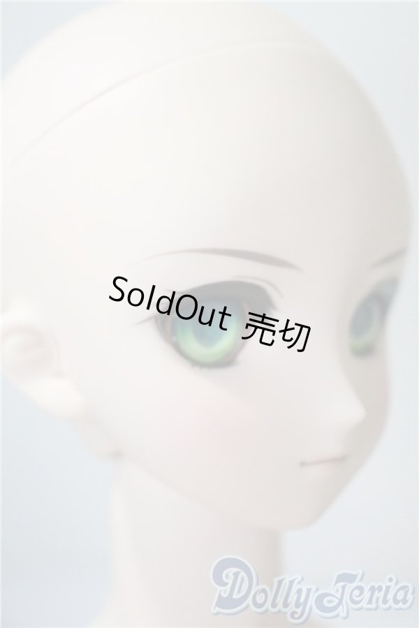 画像3: DD/セイバー Fate/EXTRA Ver. A-25-04-02-1044-TN-ZU (3)