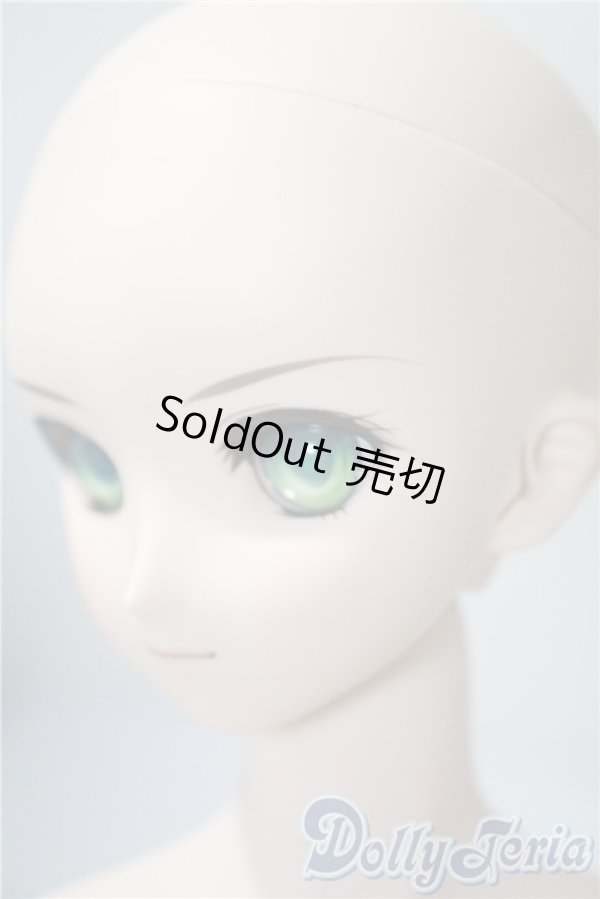 画像4: DD/セイバー Fate/EXTRA Ver. A-25-04-02-1044-TN-ZU (4)