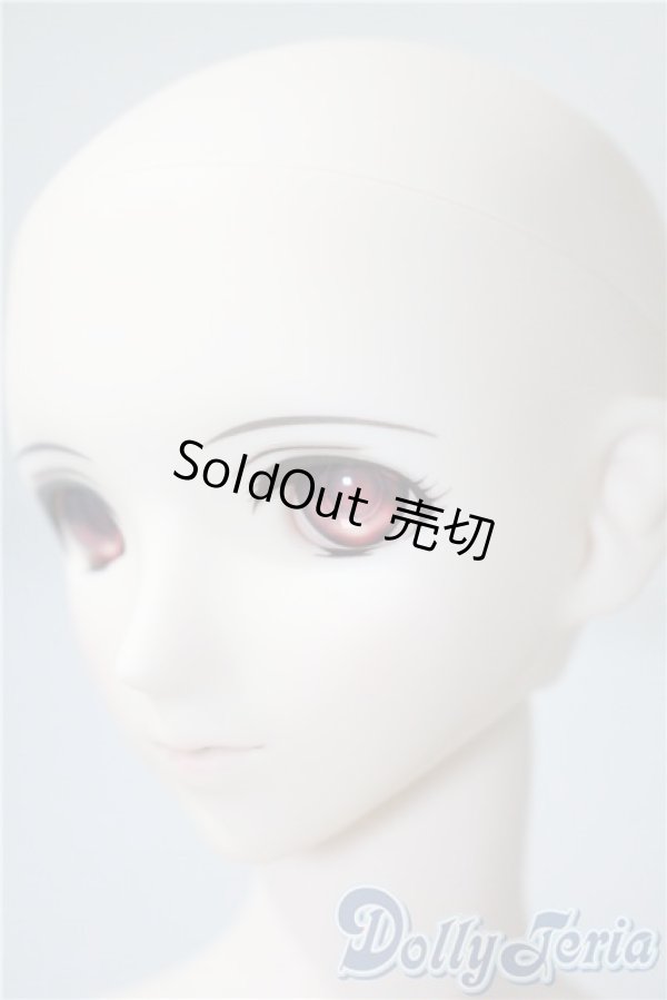 画像4: DD/KOS-MOS Ver.4 A-25-04-02-1045-TN-ZU (4)