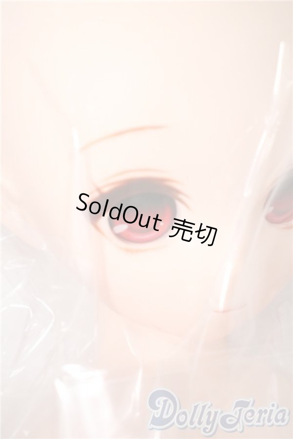 画像3: PARABOX/乙姫ドール A-25-04-02-1039-TN-ZU (3)