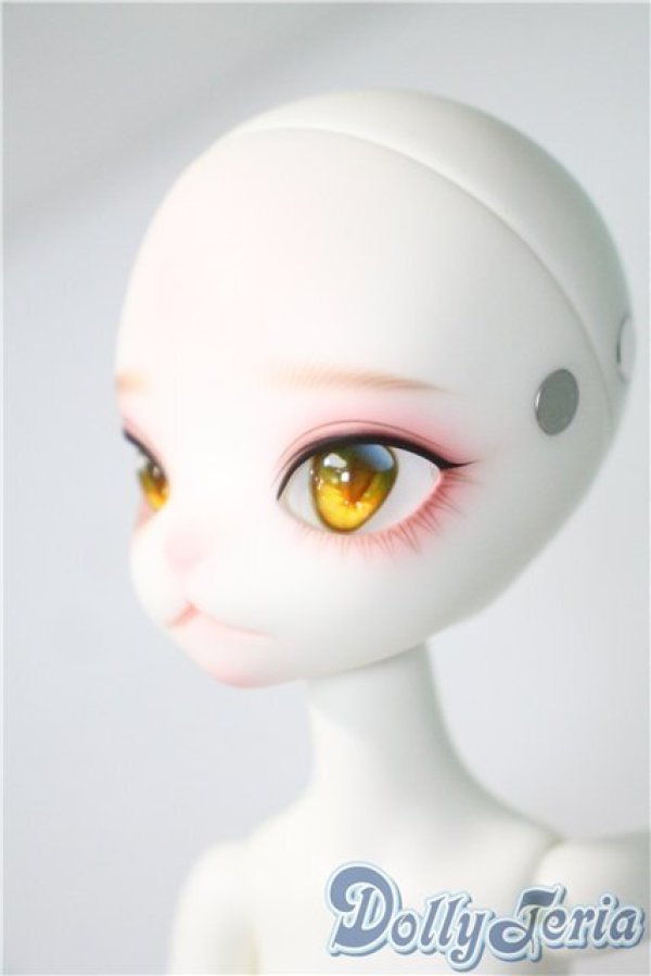 画像4: DOLLZONE/Miss kitty - 猫メイド ver. Limited A-25-04-09-1039-TN-ZA (4)