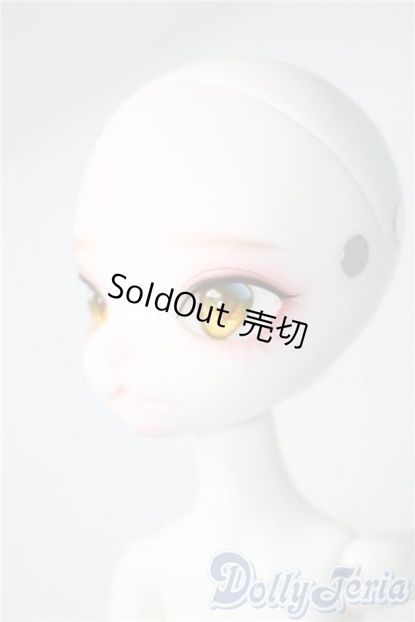 画像4: DOLLZONE/Miss kitty - 猫メイド ver. Limited A-25-04-09-1039-TN-ZA (4)