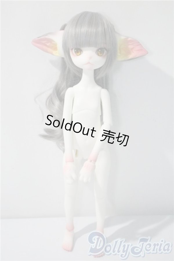 画像5: DOLLZONE/Miss kitty - 猫メイド ver. Limited A-25-04-09-1039-TN-ZA (5)