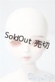 画像: 【DOLK×MYOU DOLL】Delia - Literature Limited A-25-04-09-1038-TN-ZU