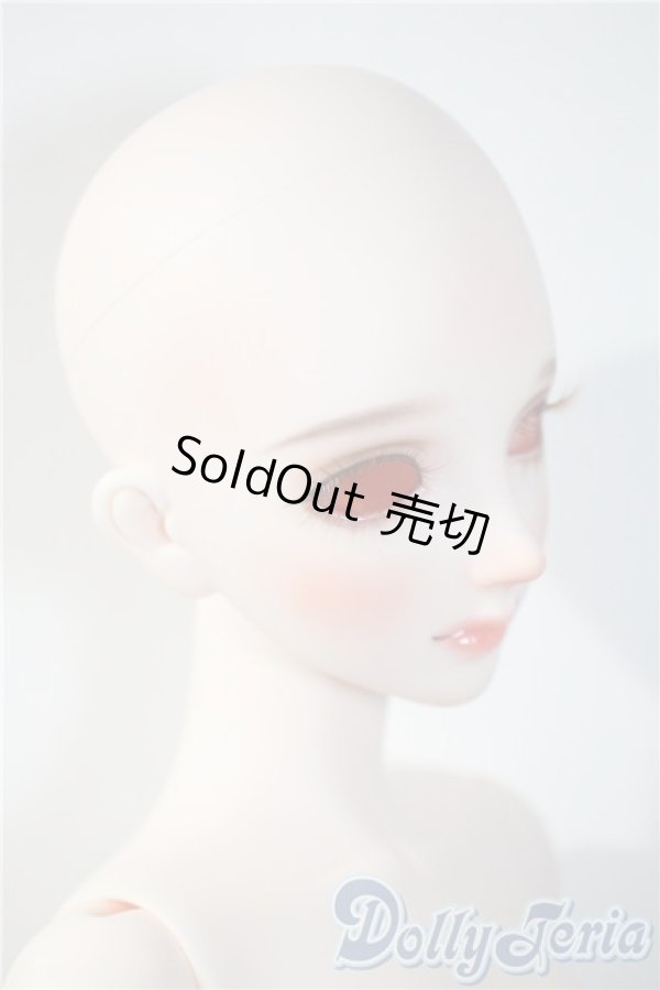 画像2: RINGDOLL/Alice01 Steampunk ver. Limited A-25-04-09-1042-TN-ZU (2)
