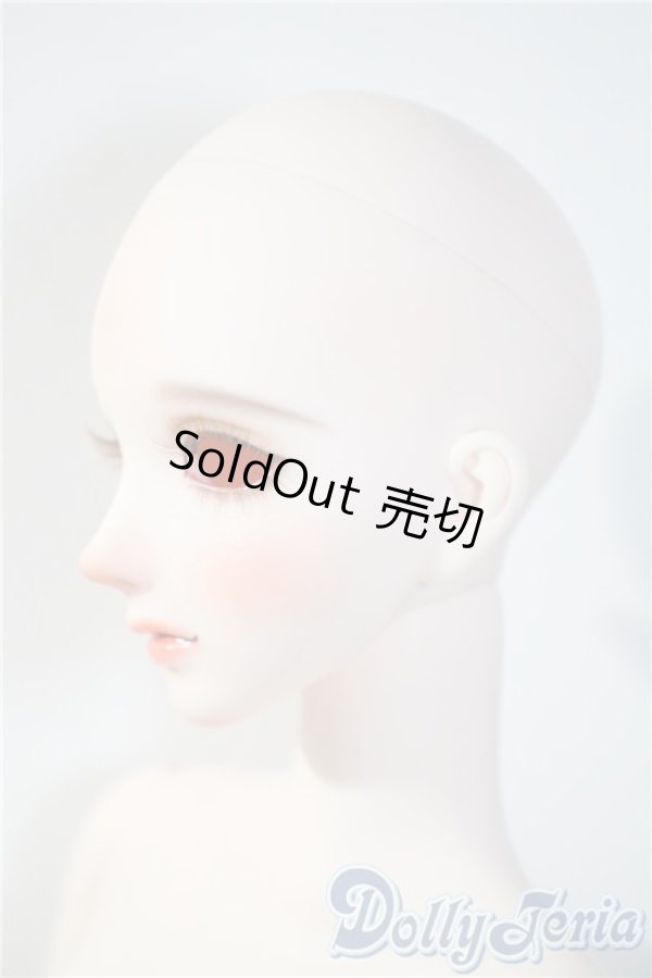 画像3: RINGDOLL/Alice01 Steampunk ver. Limited A-25-04-09-1042-TN-ZU (3)