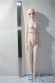 画像4: RINGDOLL/Alice01 Steampunk ver. Limited A-25-04-09-1042-TN-ZU (4)