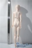 画像5: RINGDOLL/Alice01 Steampunk ver. Limited A-25-04-09-1042-TN-ZU (5)