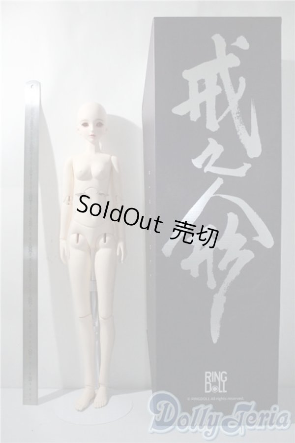 画像6: Ringdoll/Alice 03 Fullset  A-25-04-09-1043-TN-ZU (6)