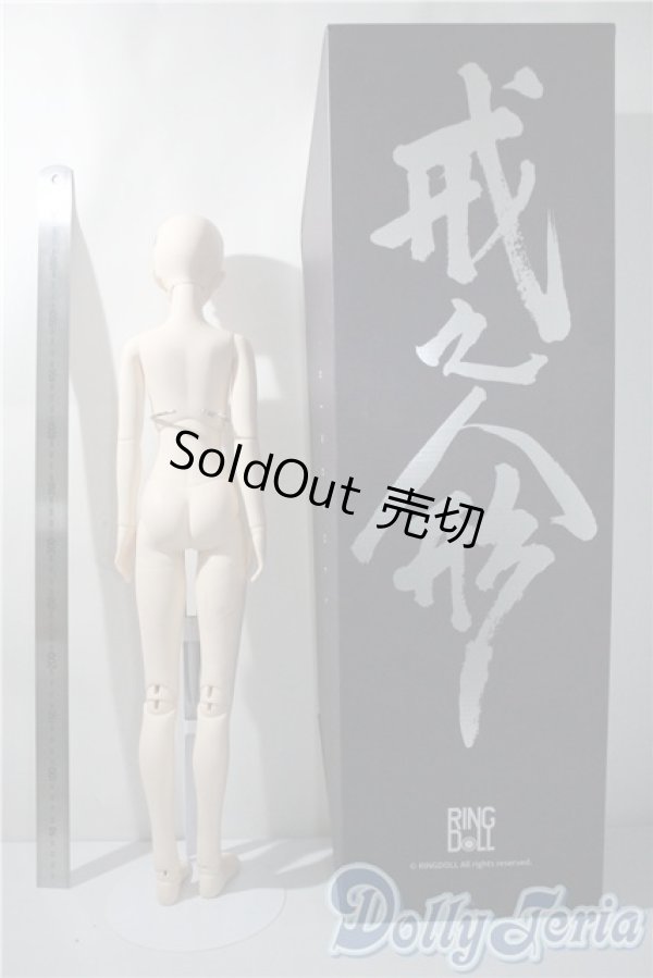 画像7: Ringdoll/Alice 03 Fullset  A-25-04-09-1043-TN-ZU (7)